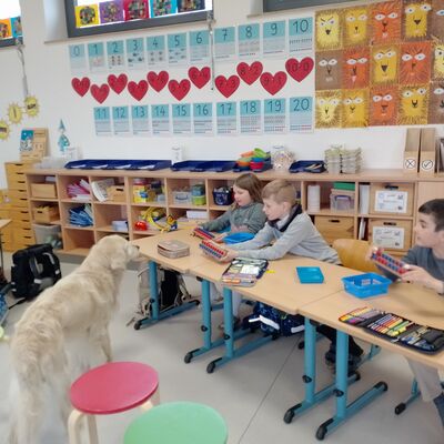 Schulhund Rudi zu Besuch 2025/26