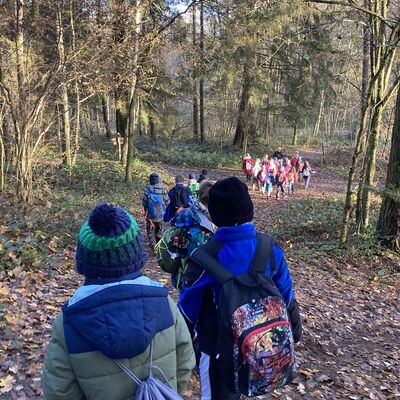 Exkursion in den Wald 2025/26