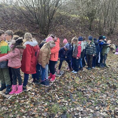 Exkursion in den Wald 2025/26