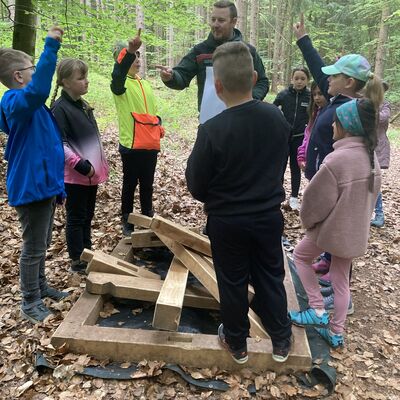 Waldjugendspiele 2025/26