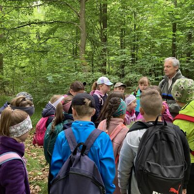 Waldjugendspiele 2025/26