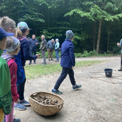 Waldjugendspiele 2025/26
