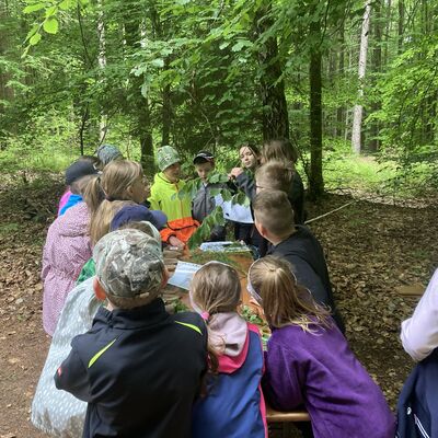 Waldjugendspiele 2025/26