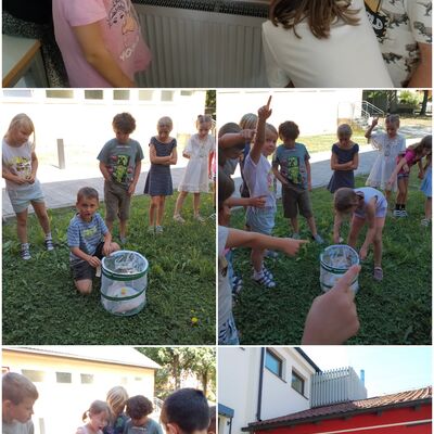 Wiesentag 2025/26
